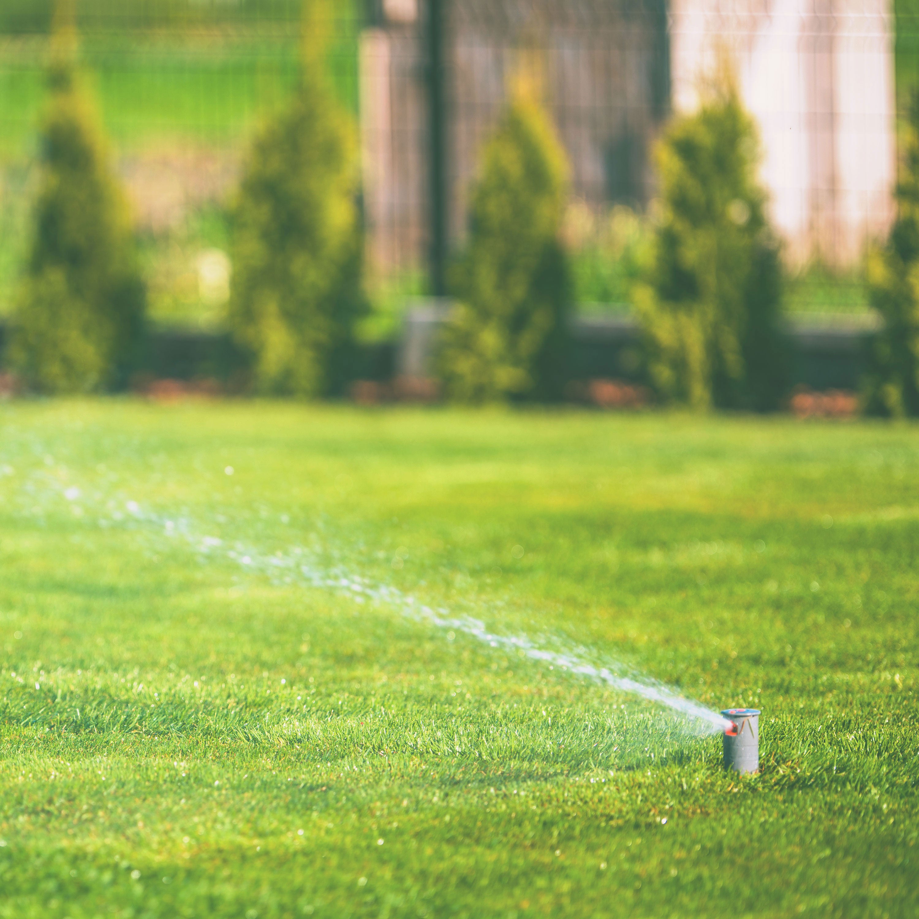 Sprinkler watering a green lawn with a blurred garden background